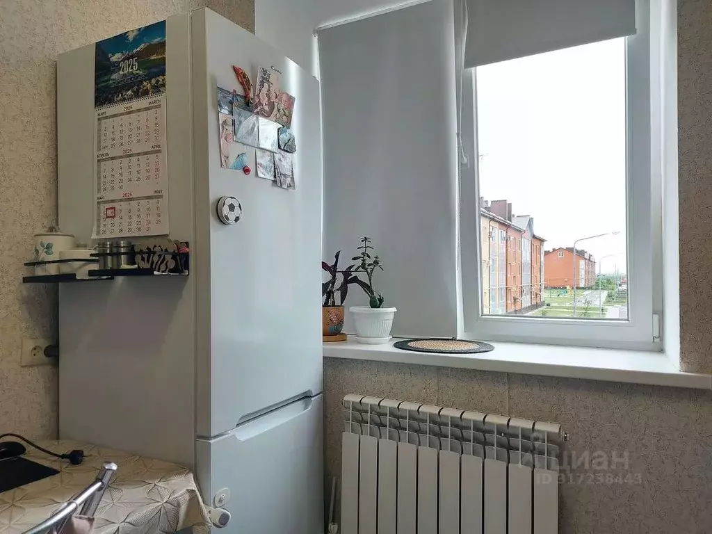 1-к кв. Белгородская область, Белгородский район, Северный городское ... - Фото 1
