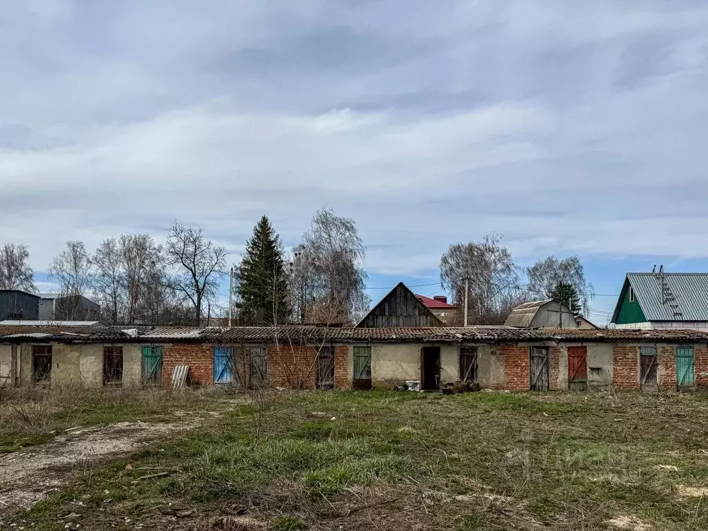 Помещение свободного назначения в Орловская область, Кромы пгт ул. К. ... - Фото 0