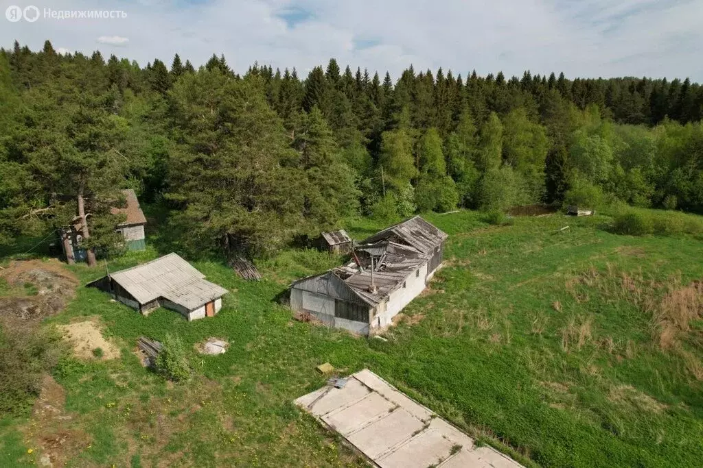 Участок в посёлок Хаапалампи, Центральная улица, 2 (300 м) - Фото 1