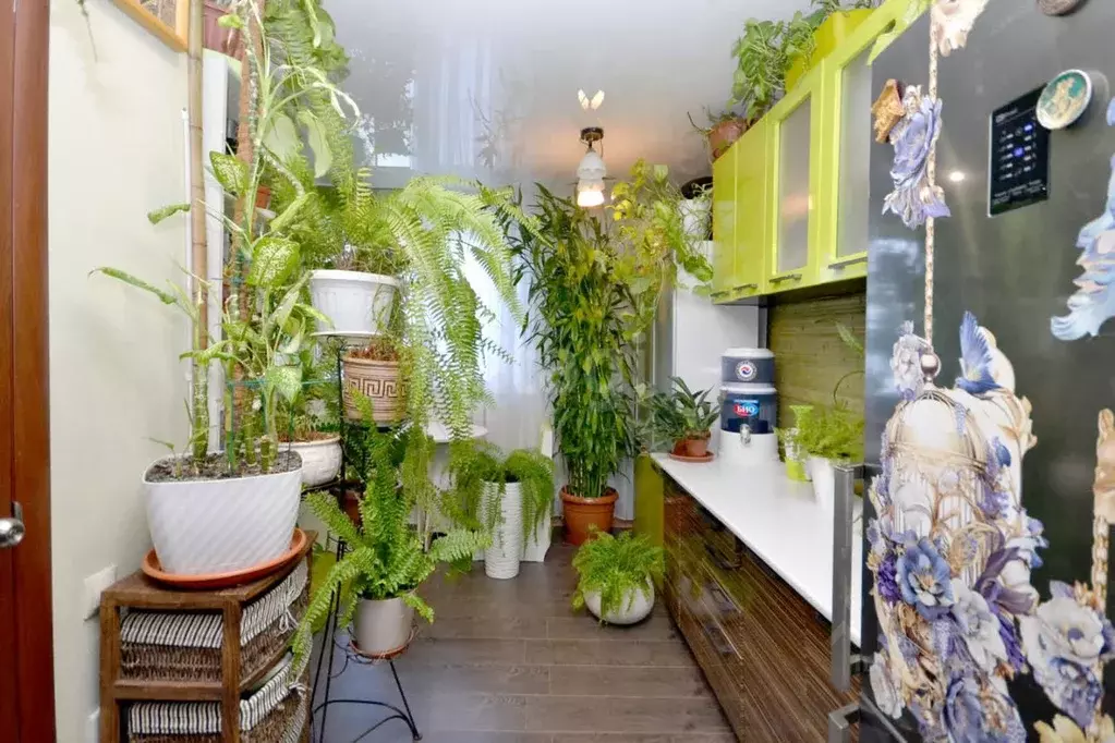 Студия Саха (Якутия), Якутск ул. Можайского, 13/3 (47.3 м) - Фото 1