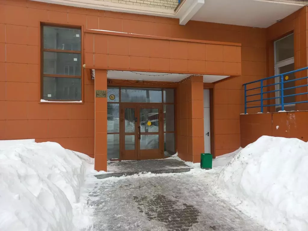 1-к кв. Московская область, Домодедово Северный мкр, ул. Гагарина, 49 ... - Фото 2