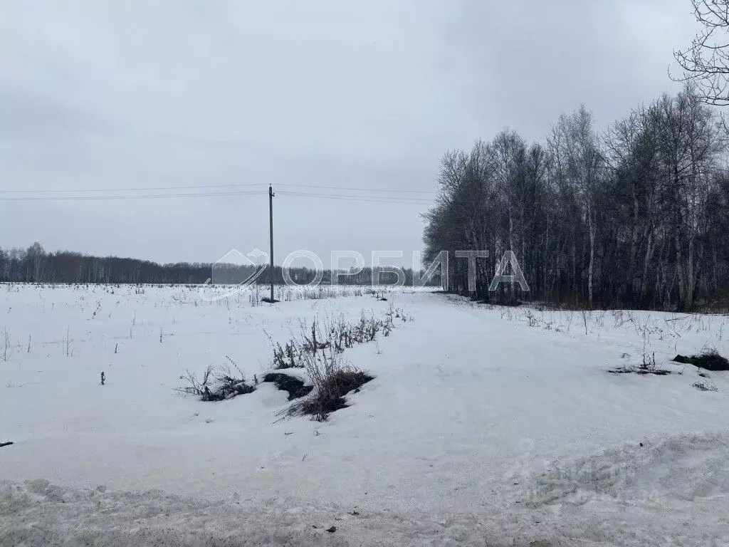 Участок в Тюменская область, Тюмень Мыс мкр, ул. Ушакова (7.0 сот.) - Фото 1