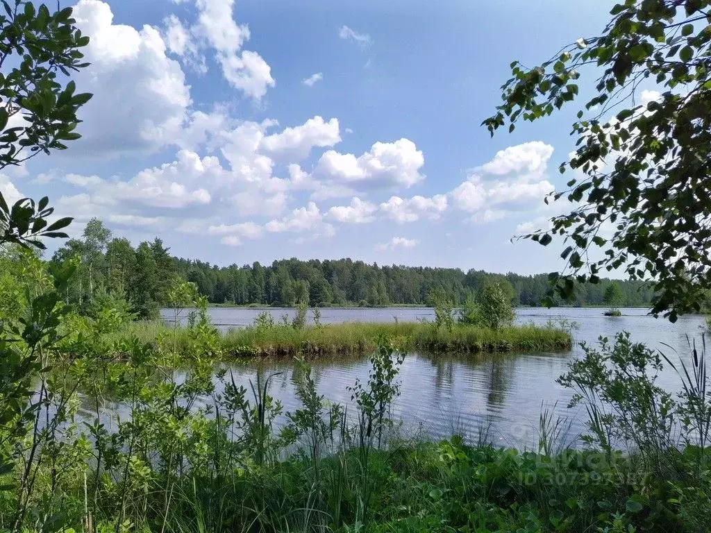 Участок в Ленинградская область, Всеволожский район, Рахьинское ... - Фото 1