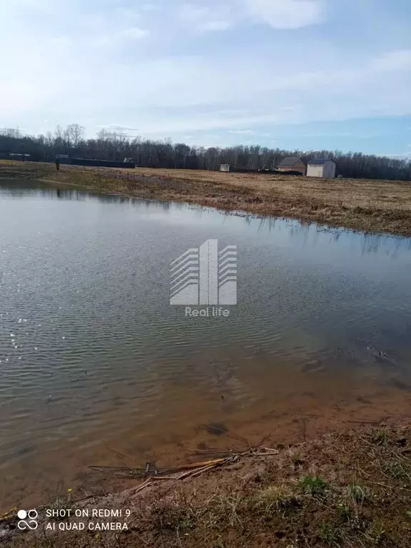 Участок в Московская область, Ступино городской округ, Лисичкино СНТ ... - Фото 1