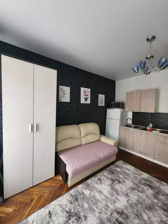 Студия Санкт-Петербург наб. Реки Мойки, 84 (21.0 м) - Фото 1