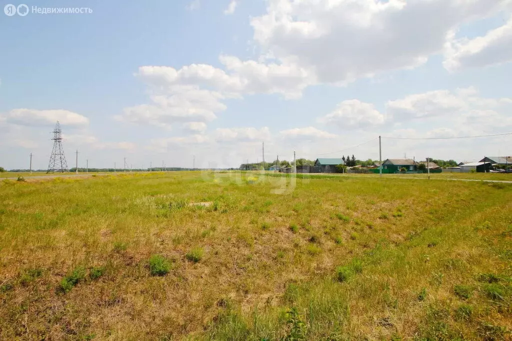 Участок в Тюменская область, Заводоуковский муниципальный округ, ... - Фото 2