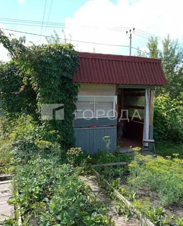 Дом в Алтайский край, Барнаул тракт Змеиногорский, 101 (42 м) - Фото 1