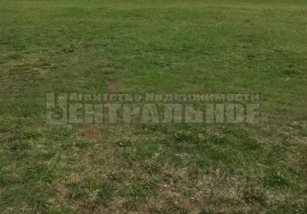 Участок в Смоленская область, Смоленский муниципальный округ, с. ... - Фото 2