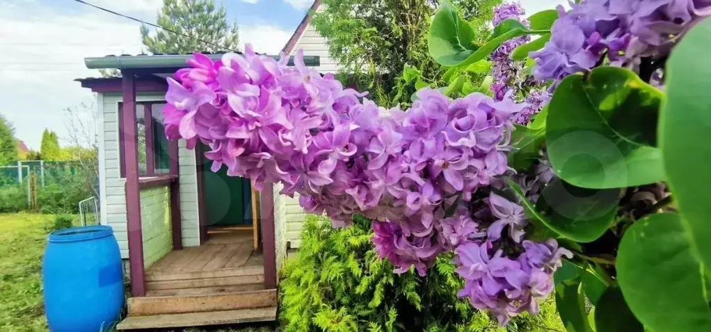 Дача 25 м на участке 10 сот. - Фото 0