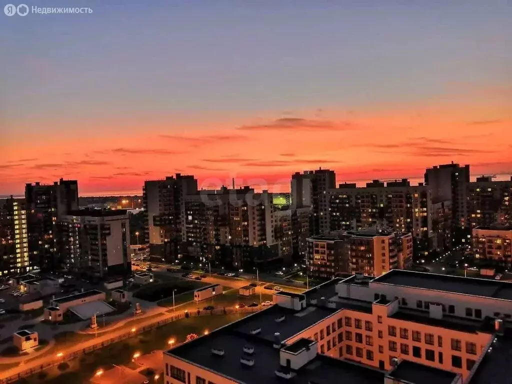 3-комнатная квартира: Санкт-Петербург, Петергофское шоссе, 53 (105 м) - Фото 2