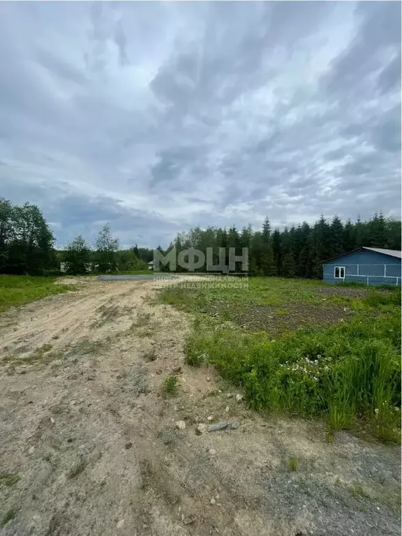 Участок в Карелия, Пряжинский район, пос. Чална  (15.0 сот.) - Фото 0
