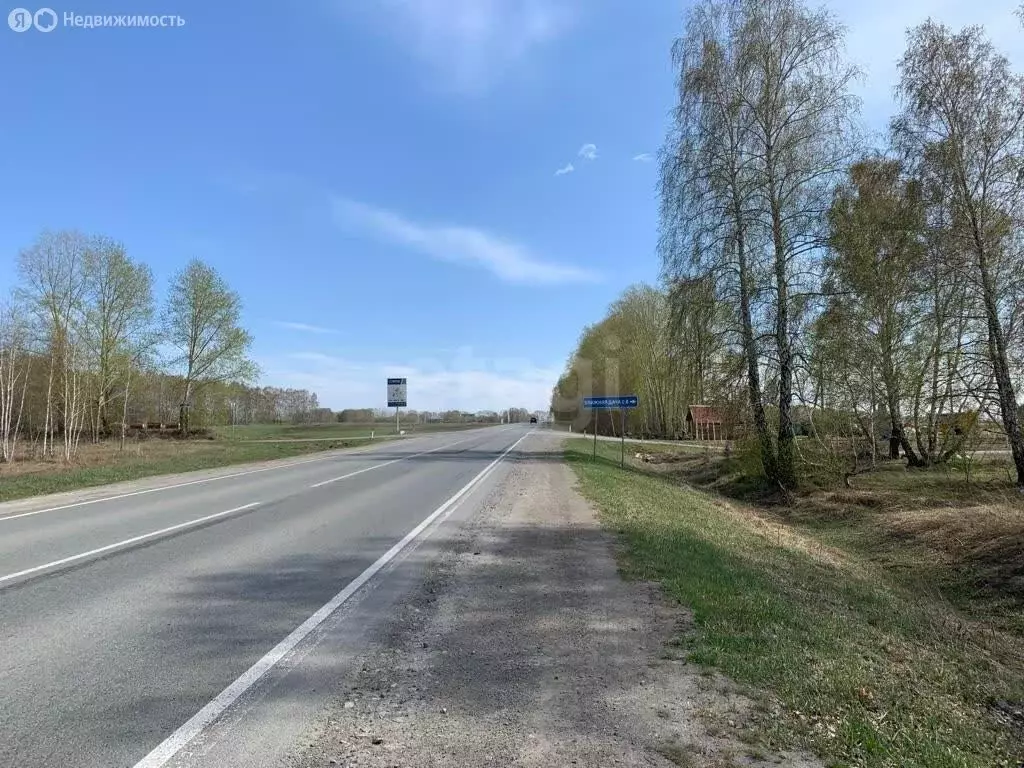 Участок в Новосибирский район, Морской сельсовет, село Ленинское (8.11 ... - Фото 0