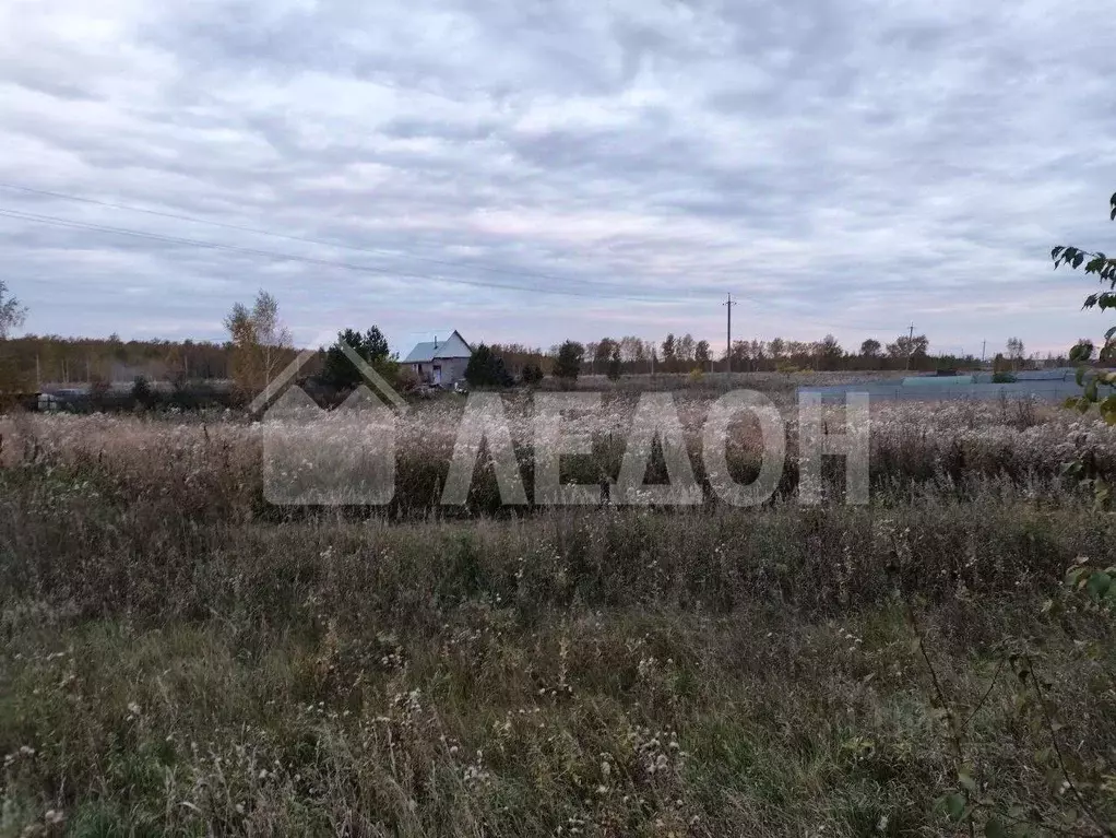 Участок в Омская область, Омский район муниципальный округ, д. ... - Фото 2