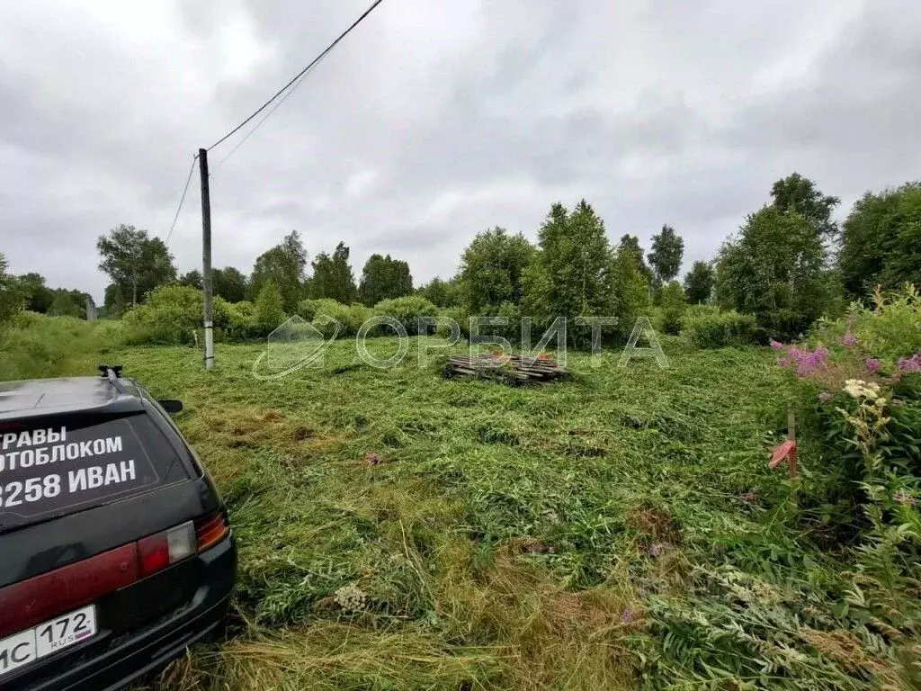 Участок в Тюменская область, Нижнетавдинский муниципальный округ, ... - Фото 2