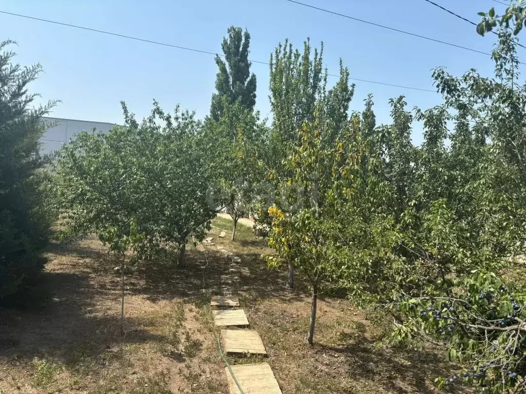 Участок в Ростовская область, Азовский район, Новоалександровское ... - Фото 1