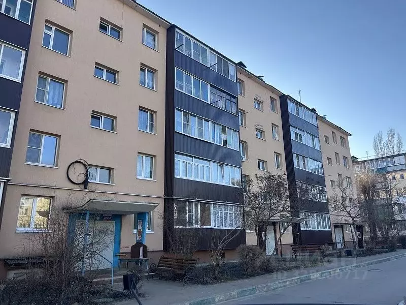 2-к кв. Воронежская область, Россошь ул. Алексеева, 22 (44.0 м) - Фото 1