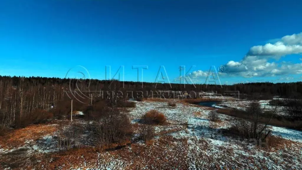 Участок в Ленинградская область, Ломоносовский район, Лебяженское ... - Фото 0