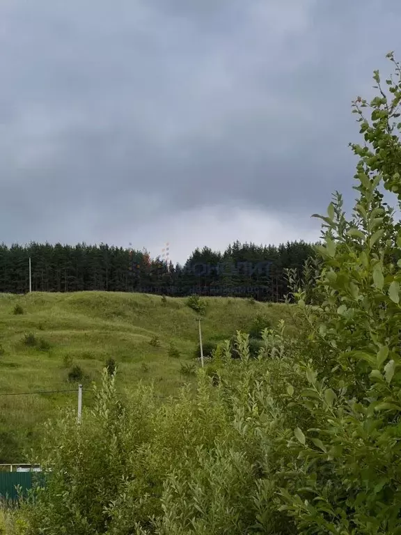 Участок в Нижегородская область, Кстовский муниципальный округ, д. ... - Фото 1