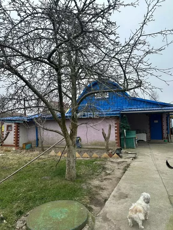 Дом в Калининград, СТ Победа, Целинная улица, 70 (40 м) - Фото 0
