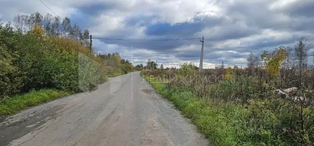 Участок в Тюменская область, Тюмень Светлое садовое товарищество,  ... - Фото 1