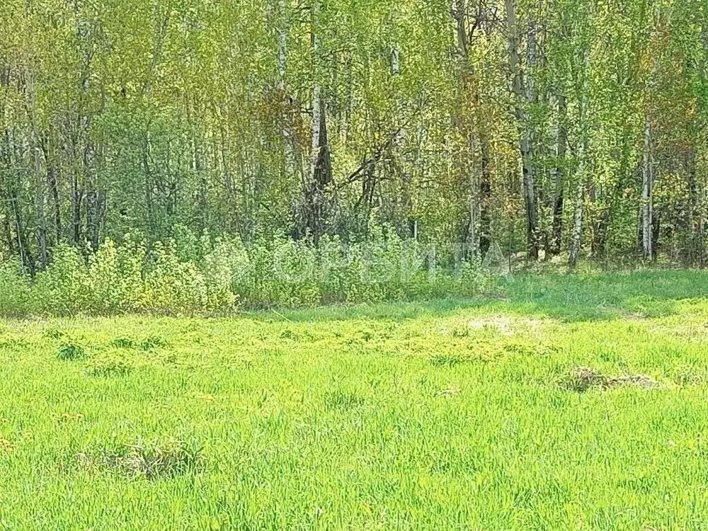 Участок в Тюменская область, Тюменский муниципальный округ, с. Кулига, ... - Фото 2