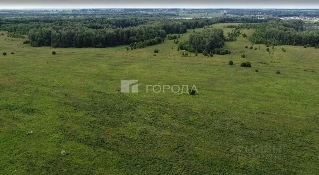 Помещение свободного назначения в Новосибирская область, Мошковский ... - Фото 1