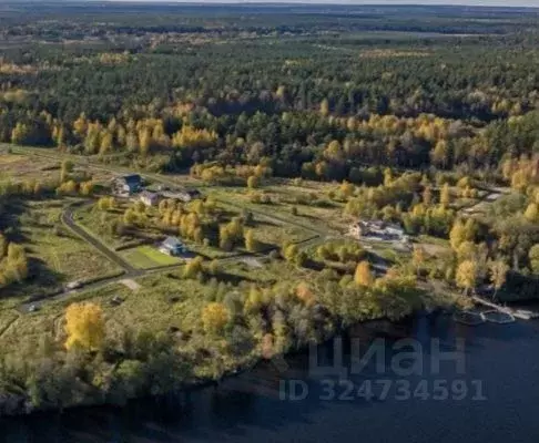 Участок в Ленинградская область, Приозерский район, Громовское с/пос, ... - Фото 2