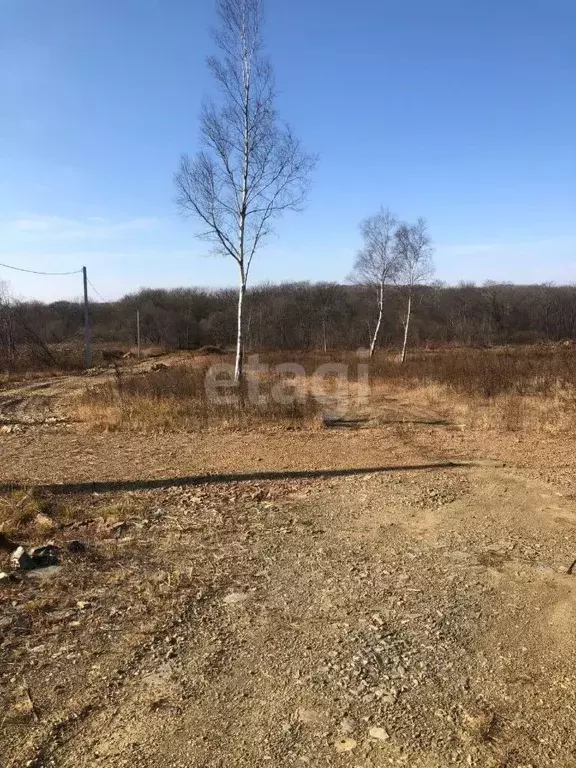 Участок в Приморский край, Надеждинский район, Аргус СНТ ул. 33-я ... - Фото 0