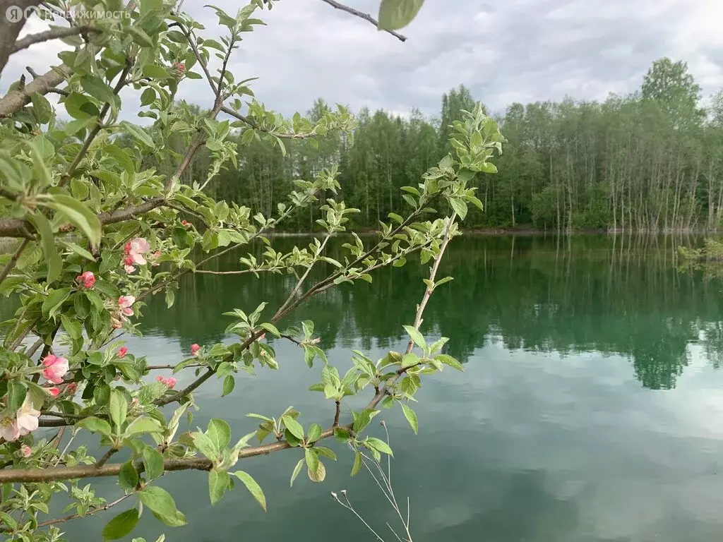 Участок в Пениковское сельское поселение, садоводческое некоммерческое ... - Фото 0