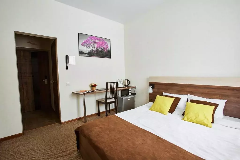 Комната Самарская область, Самара ул. Михаила Сорокина, 22 (21.0 м) - Фото 2