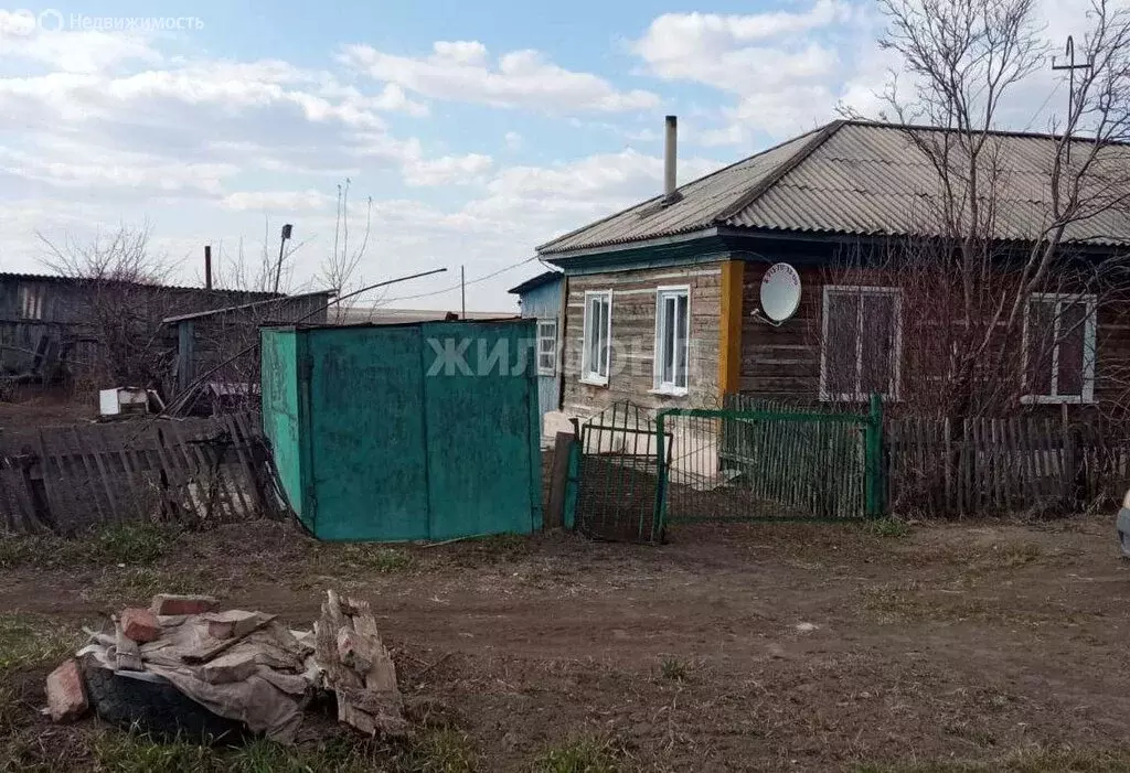 Дом в Новосибирская область, Коченёвский муниципальный район, деревня ... - Фото 1