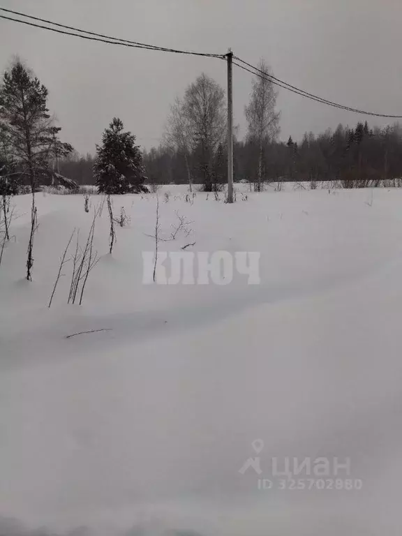 Участок в Вологодская область, Усть-Кубинский муниципальный округ, д. ... - Фото 1