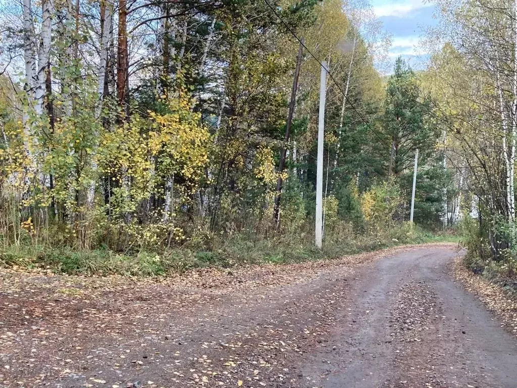 Участок в Кемеровская область, Новокузнецк Шахтостроитель СНТ,  (14.0 ... - Фото 1