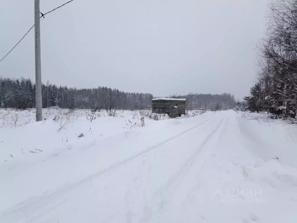 Участок в Тульская область, Заокский район, Малаховское с/пос, д. ... - Фото 2