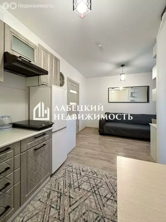 Квартира-студия: Санкт-Петербург, Муринская дорога, 10к1 (21.2 м) - Фото 1