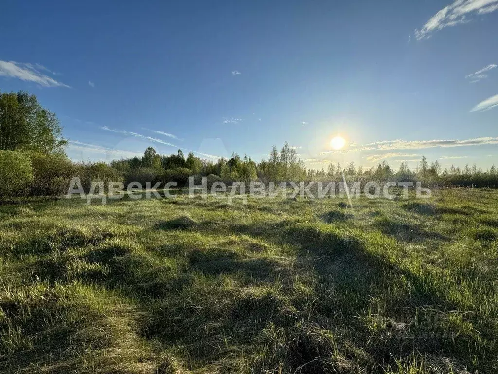 участок в тюменская область, тюменский район, с. каменка (6.51 сот.) - Фото 1