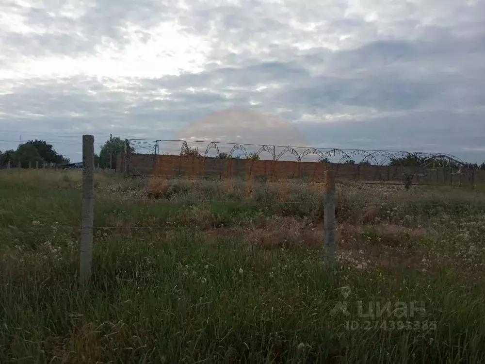 Участок в Крым, Сакский район, с. Митяево ул. Алиме Абденнановой (10.0 ... - Фото 0