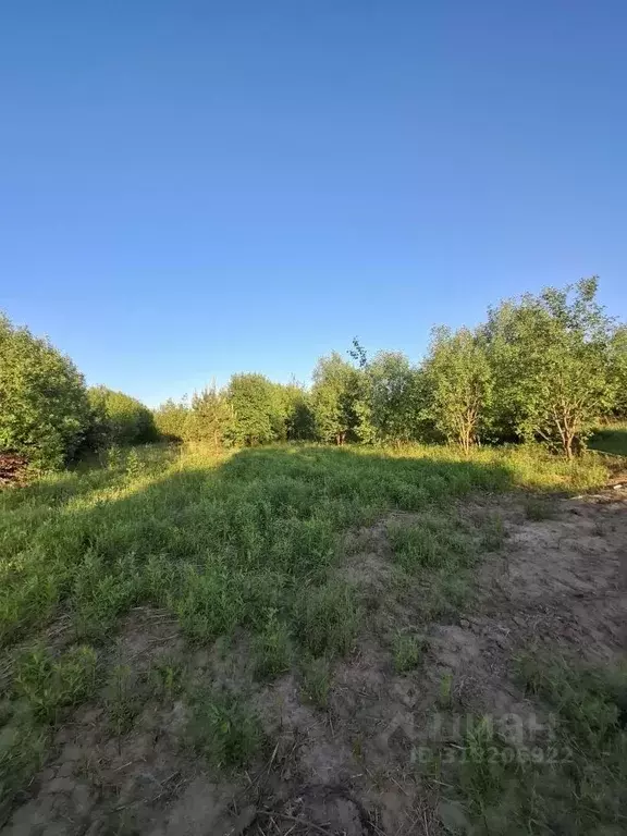 Участок в Нижегородская область, Нижний Новгород с. Безводное, ул. ... - Фото 1
