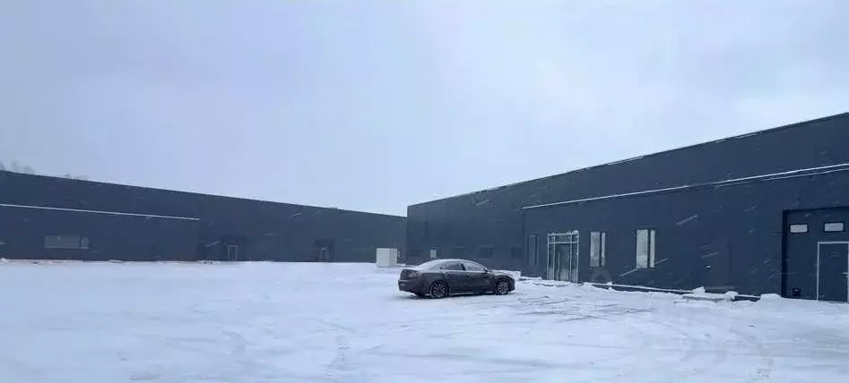 Помещение свободного назначения в Ленинградская область, Всеволожский ... - Фото 1