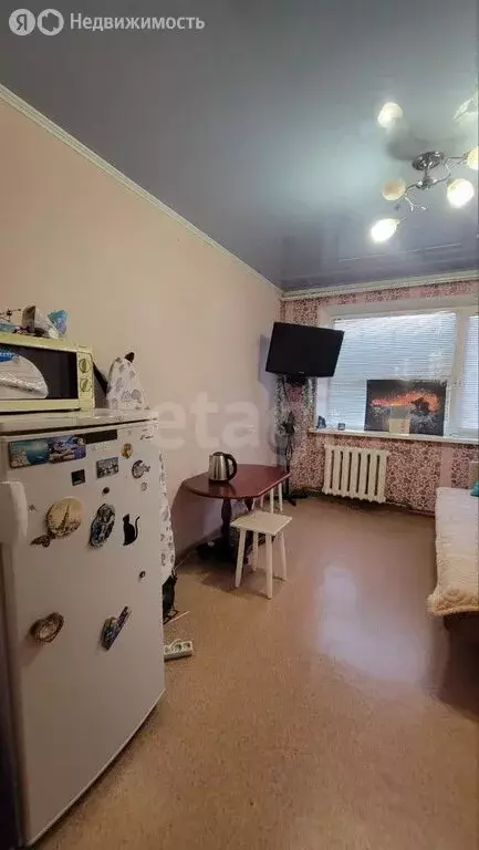 1-комнатная квартира: Тюмень, проезд Геологоразведчиков, 48 (16.5 м) - Фото 1