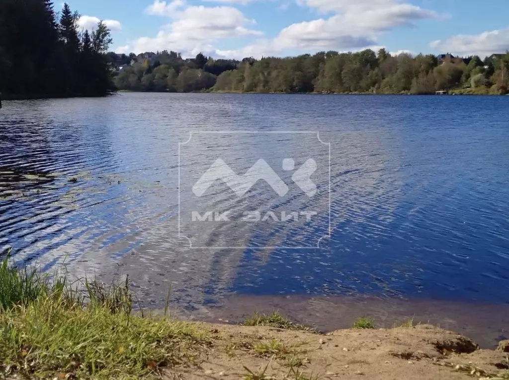 Участок в Ленинградская область, Всеволожский район, Лесколовское ... - Фото 1