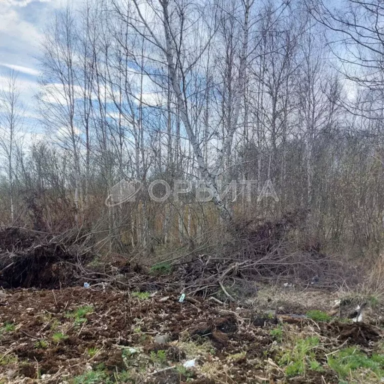 Участок в Тюменская область, Тюмень Поле Чудес садовое товарищество, ... - Фото 1
