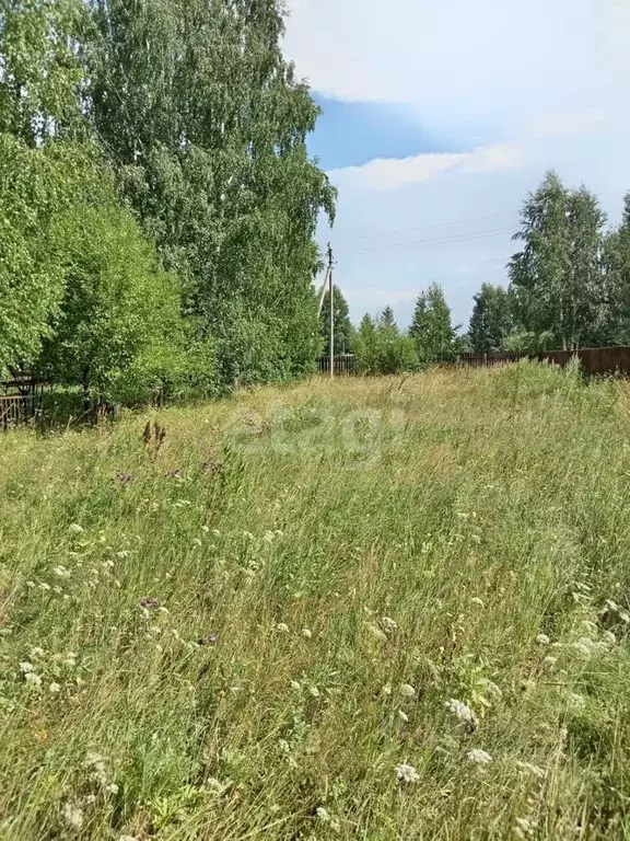 Участок в Томская область, Кожевниковский район, с. Киреевск ... - Фото 0