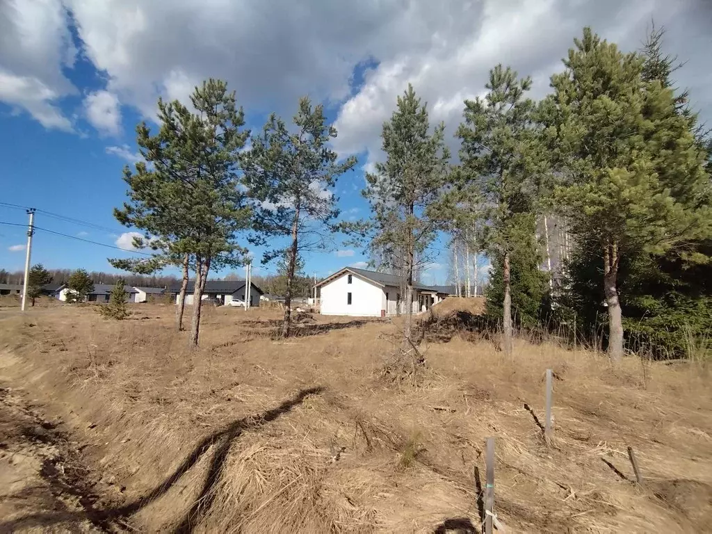 Участок в Ленинградская область, Всеволожский район, Колтушское ... - Фото 1