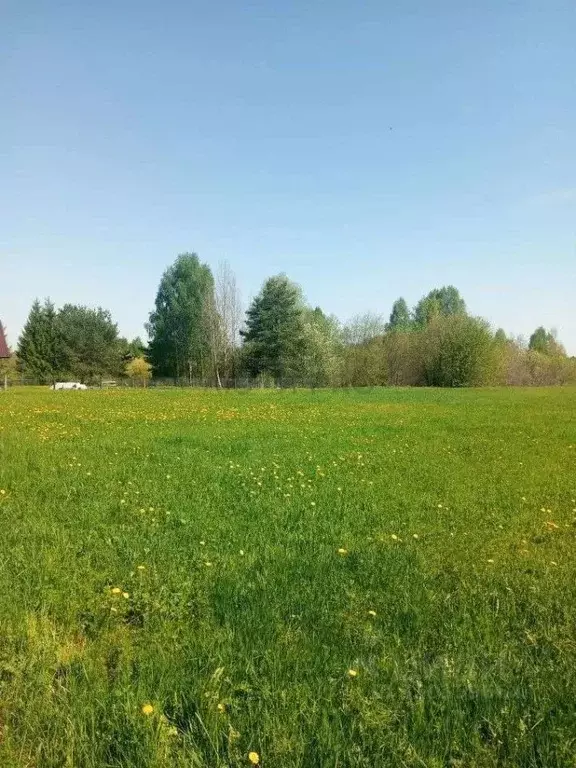 Участок в Кировская область, Орловский муниципальный округ, д. ... - Фото 1