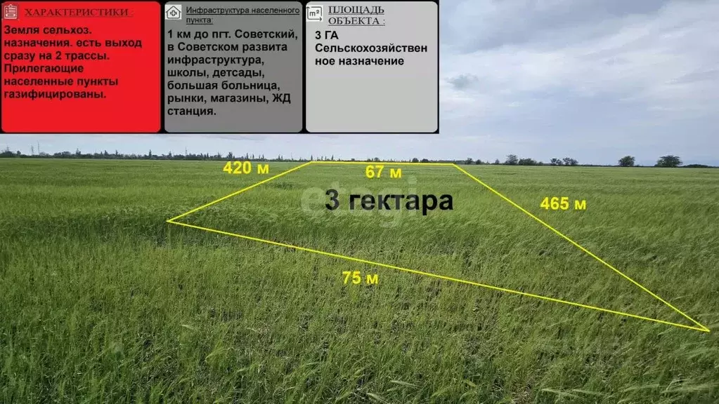 Участок в Крым, Советский район, с. Чапаевка ул. Мира (310.0 сот.) - Фото 0