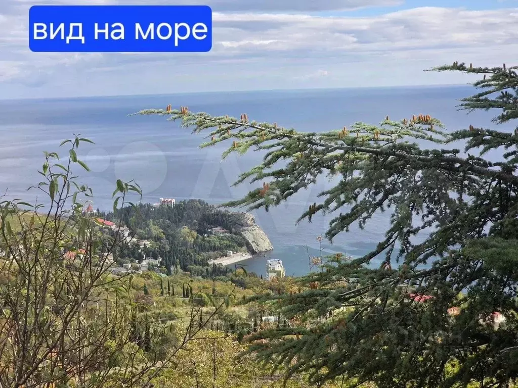 Участок в Крым, Алушта муниципальный округ, с. Кипарисное ул. ... - Фото 1