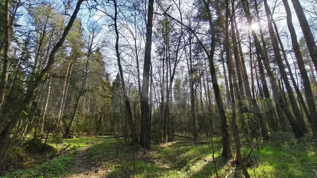 Участок 12,5 сот. (СНТ, ДНП) - Фото 0