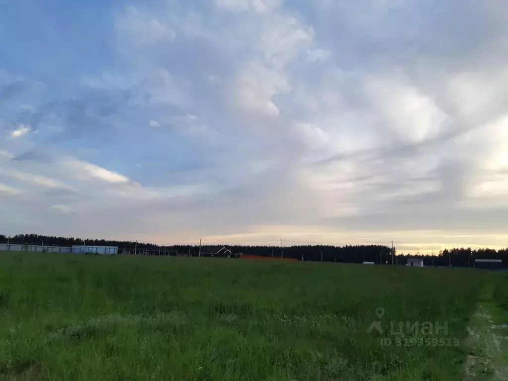 Участок в Владимирская область, Киржачский муниципальный округ, с. ... - Фото 1