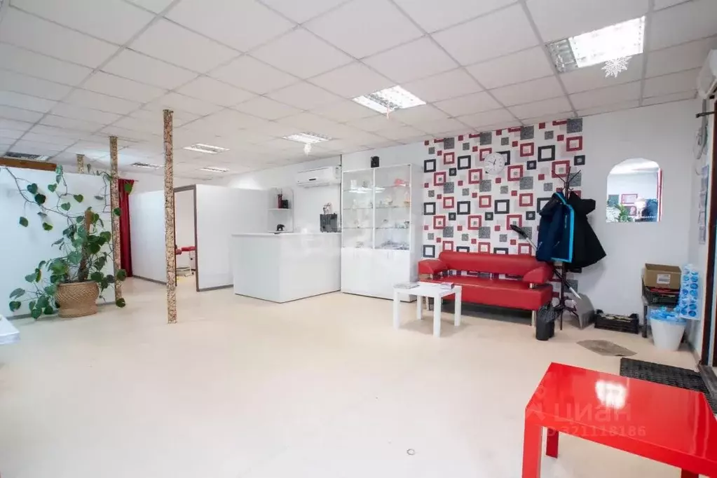 Торговая площадь в Новосибирская область, Новосибирский район, ... - Фото 1